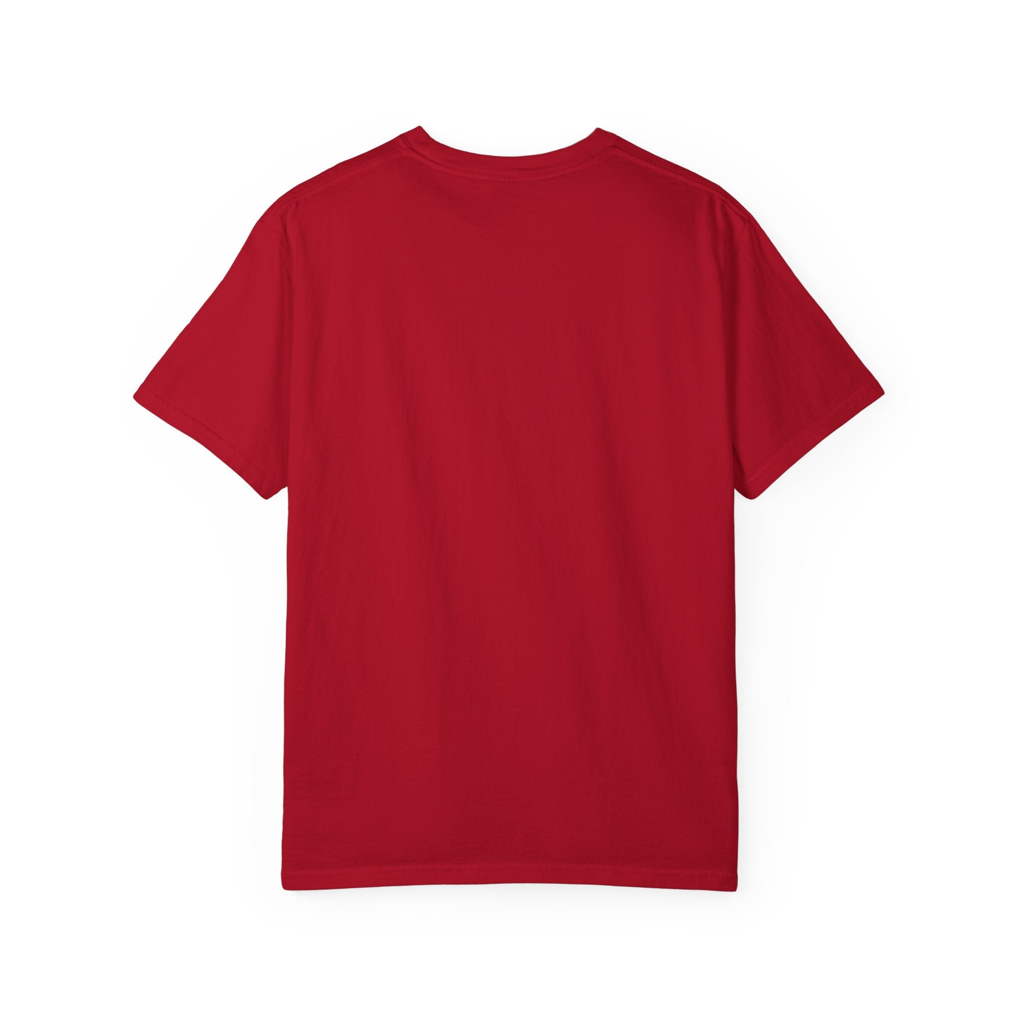 T-Shirt — "White, Red & Raws" Patriotic USA Dinosaur Fireworks Tee